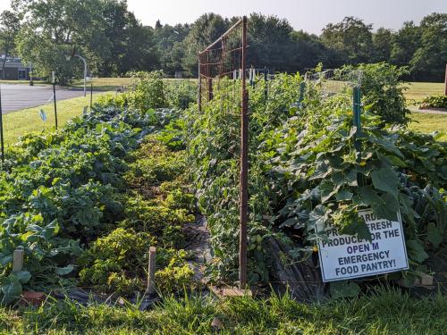 Community Garden Benefits OPEN M