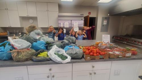 Community Garden Harvest